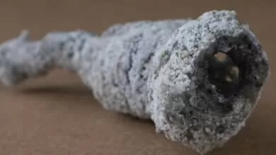 Un nouveau minéral créé par la foudre : la découverte d'une fulgurite en Floride