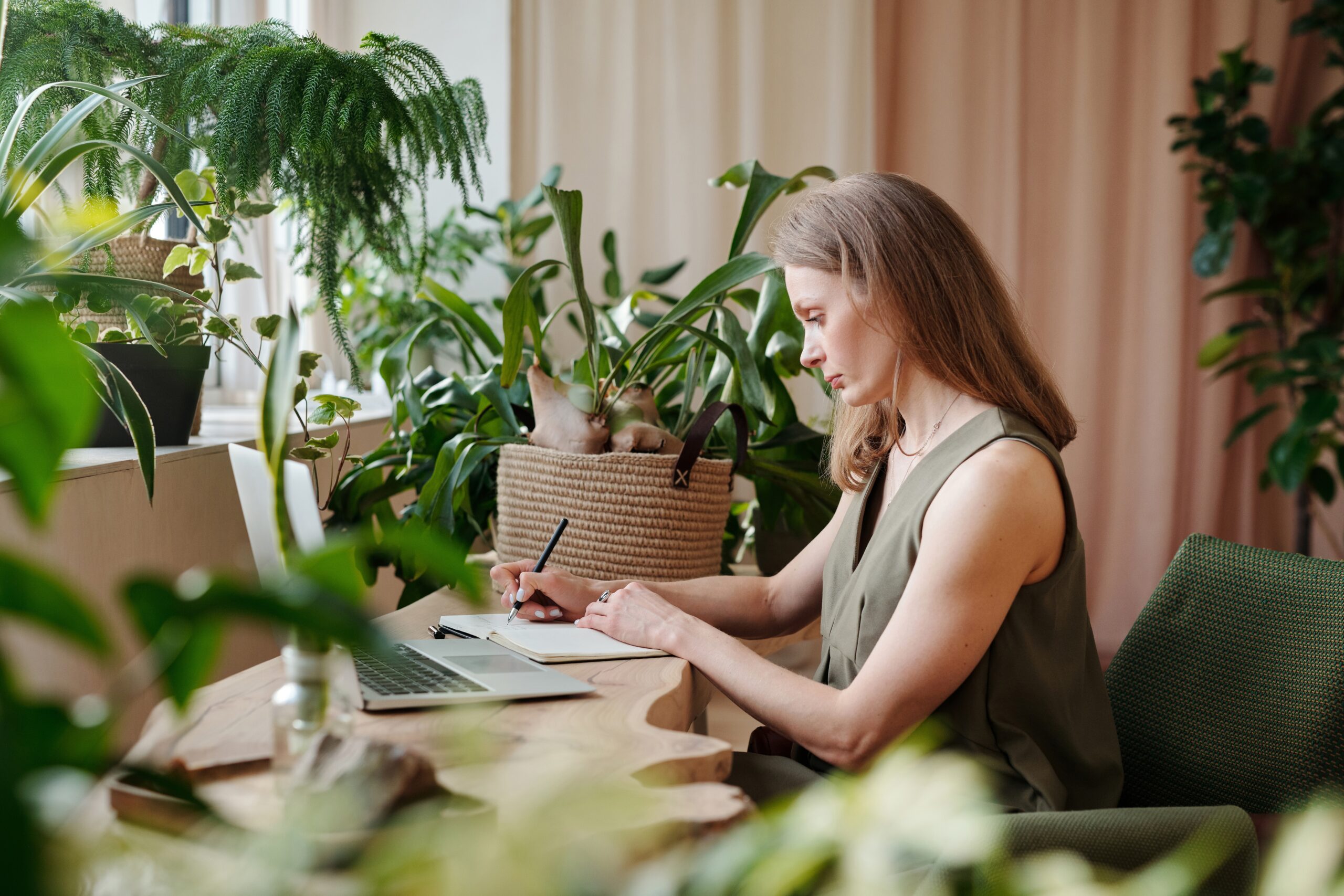 Les plantes crient elles quand elles sont stressées