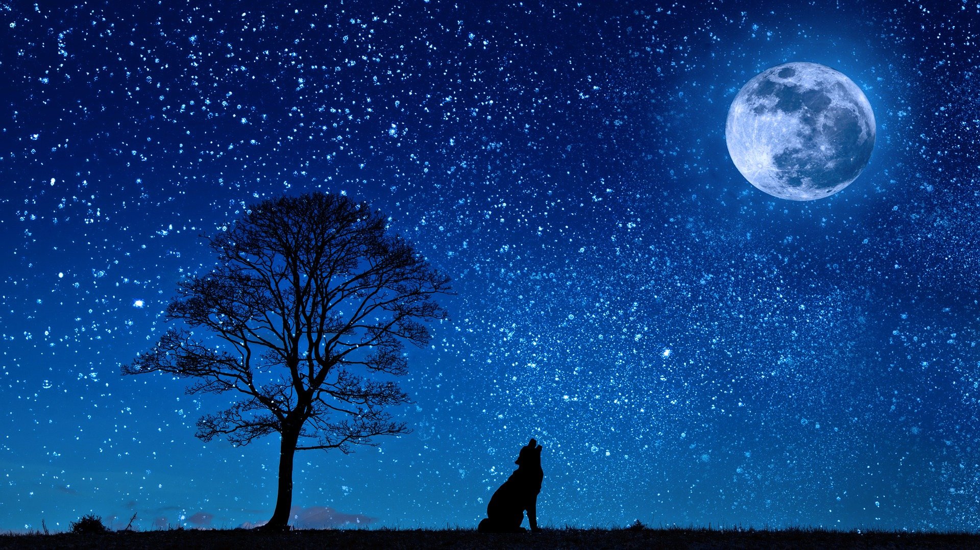 Pourquoi la pleine lune est-elle associée à une augmentation du taux de suicide ?