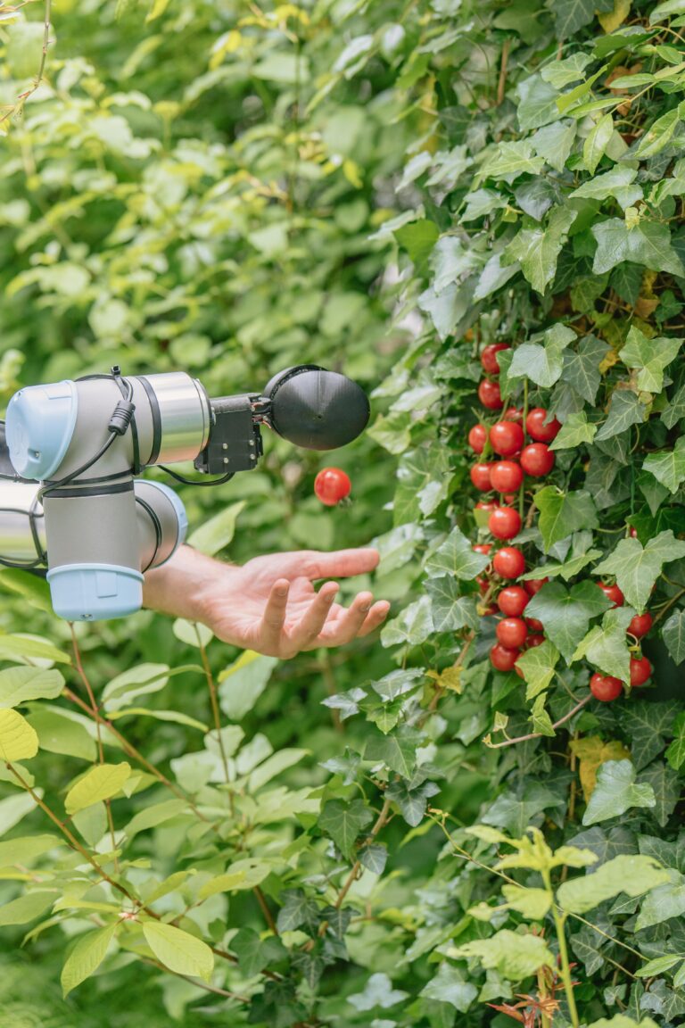 Pince Sphérique ChatGPT: La Révolution de la Cueillette des Tomates