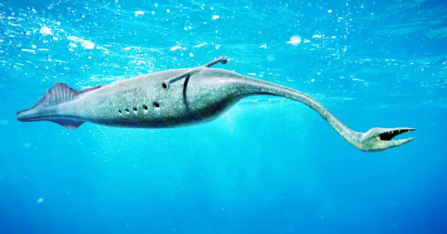 Démystifier le Monstre de Tully : Un Coup d'Œil à la Technologie 3D