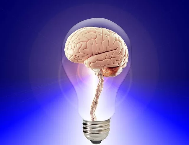 Projet du Cerveau Humain : Une Étude Détaillée
