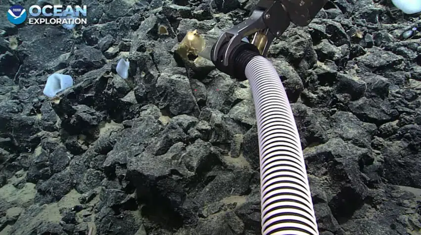 L’Énigme de l’Œuf Doré: Exploration Océanique de la NOAA