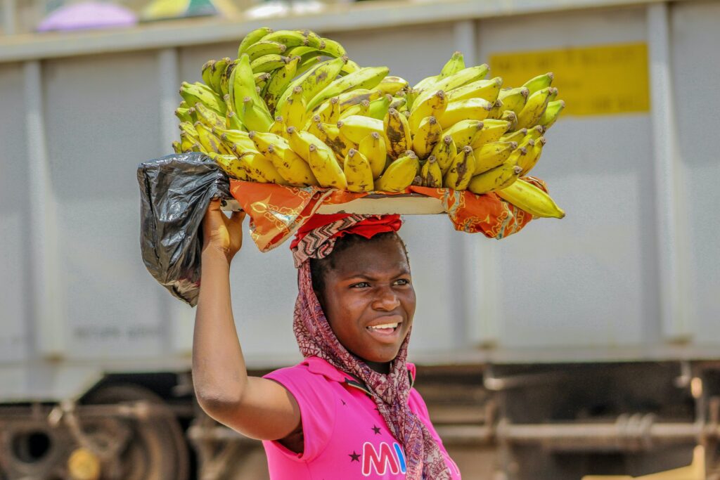 Menacée par un champignon, la banane la plus populaire au monde pourrait  disparaître