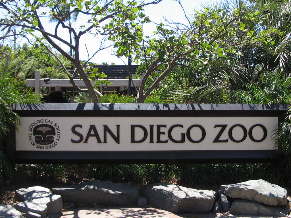 Top 5: les plus beaux Zoos du monde en 2023