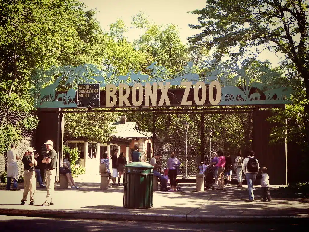 Top 5: les plus beaux Zoos du monde en 2023